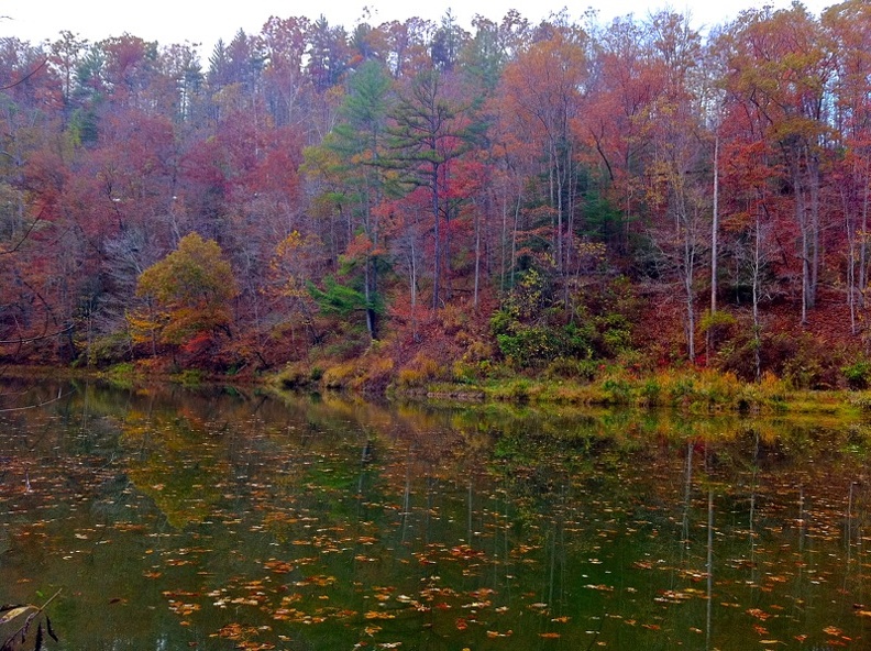 Natural Bridge State Park.jpg